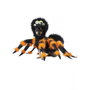 Buy Spider Pup Costume for Pets For $40.24 At Ebay.com