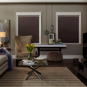 Grab 15% Off on Signature Blackout Cellular Shade At Blinds.com