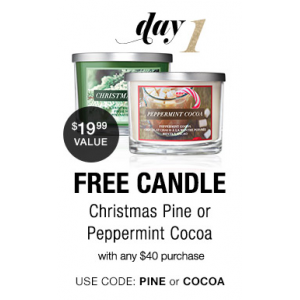 Free Candle  Christmas Pine or Peppermint Cocoa With Any $40 Purchase At Avon.com