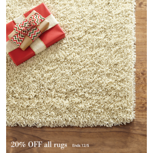 Now Thru Monday 20% Off on All Rugs At Homedecorators.com