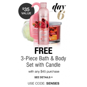 Get FREE 3 Piece Senses Cranberry and Cinnamon Set with your $45 order! 