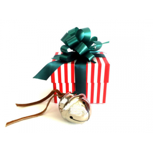 Get First Gift of Christmas Sleigh Bell Gift Set For  $29.99 At LivingSocial.com