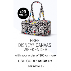 Get Free Disney Canvas Weekender With Your Oder Of $65 Or More At Avon.com