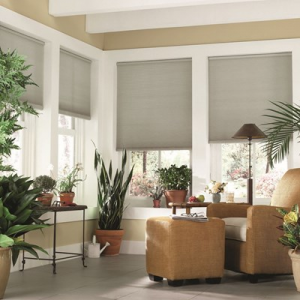 Buy Budget Cordless Light Filtering Cellular Shade For $68.79 At Blinds.com