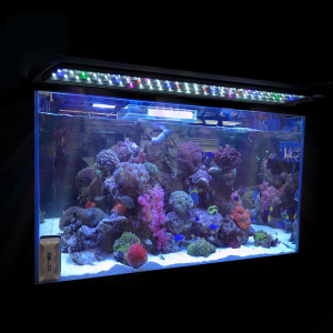 Grab Multi-Color Aquarium Light Full Spec Plant Fish Tank For $26.90 At Ebay.com