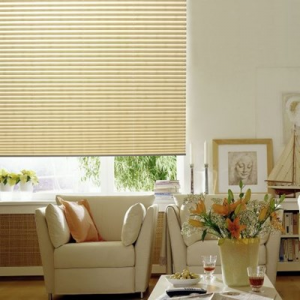 Get Premier Pleated Shade For $63.99 At Blinds.com