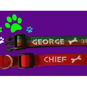 Get Personalized and Embroidered Dog Collar At  $6.99(LivingSocial.com)