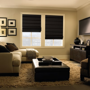 Buy Roman Shade Just At $202.72 (Blinds.com)